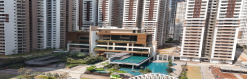 image.caption