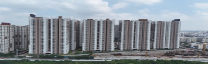image.caption