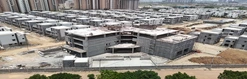 Serenedale Update